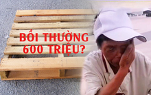 Miếng gỗ vứt chỏng chơ không ai đếm xỉa, lao công nhặt đi bán chưa được 100k, bất ngờ bị đòi bồi thường hơn nửa tỷ: Tòa án ra phán quyết lật ngược thế cục