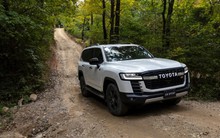 Trộm xe ở Mỹ thích Hyundai/Kia, trộm Anh thích Range Rover còn ở quốc gia này, ‘xe chủ tịch' là con mồi số một