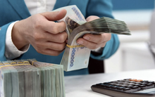 Tổng Giám đốc VPBank: Tiền trong ngân hàng thừa hàng chục nghìn tỷ là phí phạm