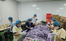 Doanh nghiệp lao đao với giá cà phê trong mơ