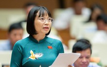 Uỷ ban Thường vụ Quốc hội chất vấn nhiều Bộ trưởng