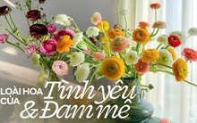 Hoa mao lương đã vào mua giá lại còn siêu rẻ: Học ngay cách cắm đơn giản vừa đẹp vừa làm sáng bừng không gian