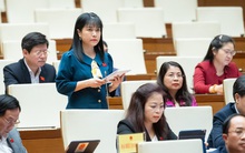 Đại biểu chất vấn Bộ trưởng Ngoại giao việc "ít nước miễn thị thực cho công dân Việt Nam"