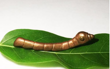 Đi câu cá, người đàn ông vớt được vật lạ bằng ngón tay lấp la lấp lánh: chuyên gia ấp tới xem, có kẻ trả giá gần 70 triệu đồng vẫn không bán vì 1 điều bí mật