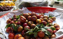 Đắt hơn thịt, mận đầu mùa giá gần 300.000 đồng/kg, khách không tiếc tiền mua
