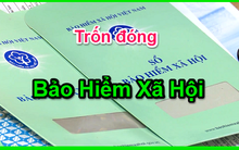 Lần đầu tiên khởi tố doanh nghiệp ở Phú Yên trốn đóng bảo hiểm xã hội