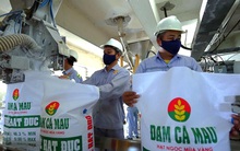 Lợi nhuận giảm sâu, công ty phân bón lớn nhất trên sàn chứng khoán vẫn chi bình quân gần 44 triệu đồng/tháng/người cho hơn nghìn nhân viên