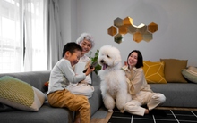 Vay mua nhà lãi suất từ 5%/năm tại BIDV