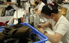 Người lao động có thể được giảm mức đóng bảo hiểm thất nghiệp?