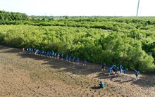 AQUA Chăm đặt dấu chân trên hành trình hiện thực hóa những cam kết về môi trường