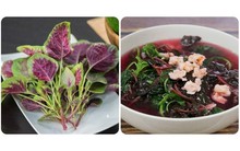 Loại rau rẻ bèo nhưng tốt ngang thịt bò, được ưu ái gọi là rau trường thọ