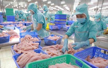 Một DN thủy sản trên sàn không thể trả nợ 137 tỷ cho BIDV, phải bàn giao cả chục triệu cổ phiếu cho Chi Cục Thi hành án