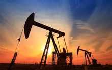 Bế tắc với Nga, Ấn Độ tìm thấy "liều thuốc" mới cho cơn khát dầu, là nhà sản xuất dầu lớn nhất thế giới 6 năm liên tiếp