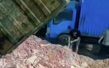 Kinh hãi hình ảnh nội tạng động vật chất đống trên sàn nhà, dân mạng rủ nhau "quay xe" với loại đồ ăn giá rẻ quen thuộc