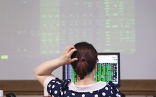 Sau nhiều thất bại, tôi nhận ra phân tích cơ bản doanh nghiệp mới là “kim chỉ nam” giúp thành công trong đầu tư chứng khoán, thay vì công thức “trading” đầy cảm tính