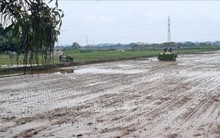 Hà Nội: Nhiều cách làm hay không để hoang hóa đất ruộng