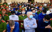 Nhiều kiểm toán viên bị đình chỉ do vi phạm nghiêm trọng chuẩn mực