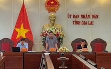 Chánh Văn phòng UBND tỉnh Gia Lai xin nghỉ hưu trước tuổi