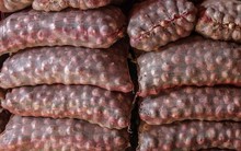 Nước xuất khẩu rau quả lớn nhất thế giới gia hạn lệnh cấm, loại củ giá rẻ bán đầy chợ Việt lại chuẩn bị lên cơn sốt giá