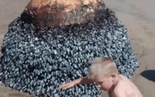 Cậu bé vô tình tìm thấy "hòn đá kỳ lạ" trên bãi biển, chuyên gia giật mình: Gia đình cậu đã đối mặt với tử thần!