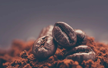 'Vị đắng' hạt cà phê Việt Nam: Giá bán vọt lên mức cao nhất thế giới nhưng DN thua lỗ kỷ lục, 'cơn ác mộng' xảy ra như thế nào?