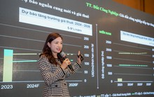 Giám đốc điều hành CBRE Việt Nam: Cung không đủ cầu, giá chung cư sẽ tiếp tục tăng