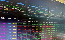 Khi nào công ty chứng khoán được triển khai dịch vụ nhận lệnh nhà đầu tư tổ chức nước ngoài chưa đủ 100% tiền?