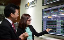 Từ vụ VNDirect bị 'sập': Nhà đầu tư chứng khoán không nên 'bỏ trứng vào một giỏ'