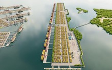 Khẩn trương hoàn thiện Đề án xây dựng Cảng trung chuyển quốc tế Cần Giờ