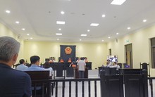 "Đại gia" điện gió Tô Công Lý bị đề nghị từ 12 - 13 năm tù