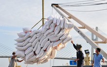 Thấy gì từ việc giá gạo Việt xuất khẩu liên tục giảm mạnh?