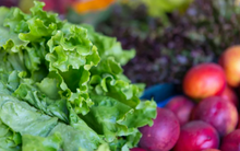 5 loại thực phẩm giúp bạn giải độc cơ thể hiệu quả