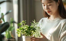 Hãy lập tức dừng làm 10 điều này lại nếu như bạn đang trong tình trạng chưa hết tháng mà đã hết tiền