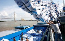 Báo chí Uruguay ấn tượng về tăng trưởng xuất khẩu của Việt Nam