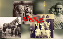 Trí tuệ nhân tạo được sử dụng như thế nào để tạo ra lịch sử giả mạo?