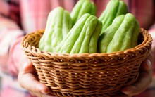 Không nên ăn su su kiểu này kẻo hại cho sức khỏe