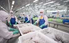 Thực phẩm Sao Ta báo tổng doanh thu tháng 2/2024 sụt giảm 16%