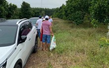 Xuất hiện nhà đầu tư “vác bao tiền” đi săn đất nền, nhà phố sau Tết