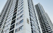 Lý do giá căn hộ chung cư tăng mạnh