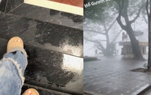 Dân văn phòng khổ sở với "kiếp nạn" trời nồm kinh hoàng: Lên cầu thang chỉ sợ trượt té, đi làm ở Hà Nội mà cữ ngỡ London