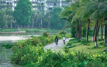 Đây là lí do vì sao tôi lại chọn mua nhà ở ngoại ô thay vì trung tâm thành phố