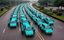 Chuyên gia từ Singapore: Lý do XanhSM có thể sẽ soán ngôi Grab tại Việt Nam