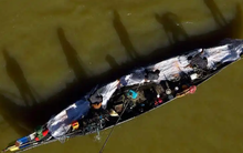 20% loài cá trên sông Mekong đối mặt nguy cơ tuyệt chủng