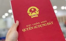 Mục đích sử dụng đất ghi chữ ‘T’ nghĩa là gì?