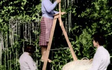 Những cú lừa 'kinh thiên động địa' trong lịch sử ngày Cá tháng Tư