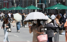 Thủ đô Tokyo của Nhật Bản ghi nhận nhiệt độ cao kỷ lục trong tháng 3