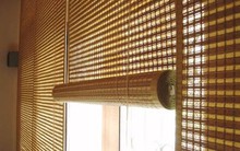 Một 'báu vật' mọc khắp Việt Nam được các cường quốc tranh nhau săn đón: từ Mỹ đến Nhật Bản đều ưa chuộng, trăm triệu USD thu về tay