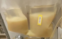 Chàng trai 30 tuổi máu trắng sệt "như sữa đặc", món ăn yêu thích của nhiều người là thủ phạm