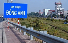 Đông Anh (Hà Nội) tổ chức thành công 6 phiên đấu giá đất, thu về 800 tỷ đồng