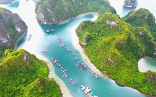 Làng chài cổ đẹp nhất thế giới ở vịnh Hạ Long tạm dừng đón khách